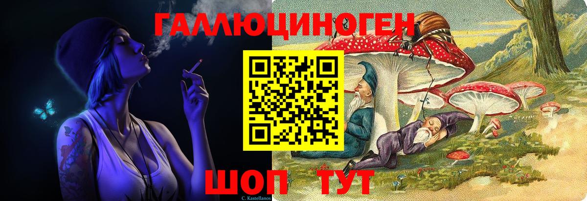 Пенза  Псилоцибиновые грибы Psilocybine cubensis  Вход с VPN 
