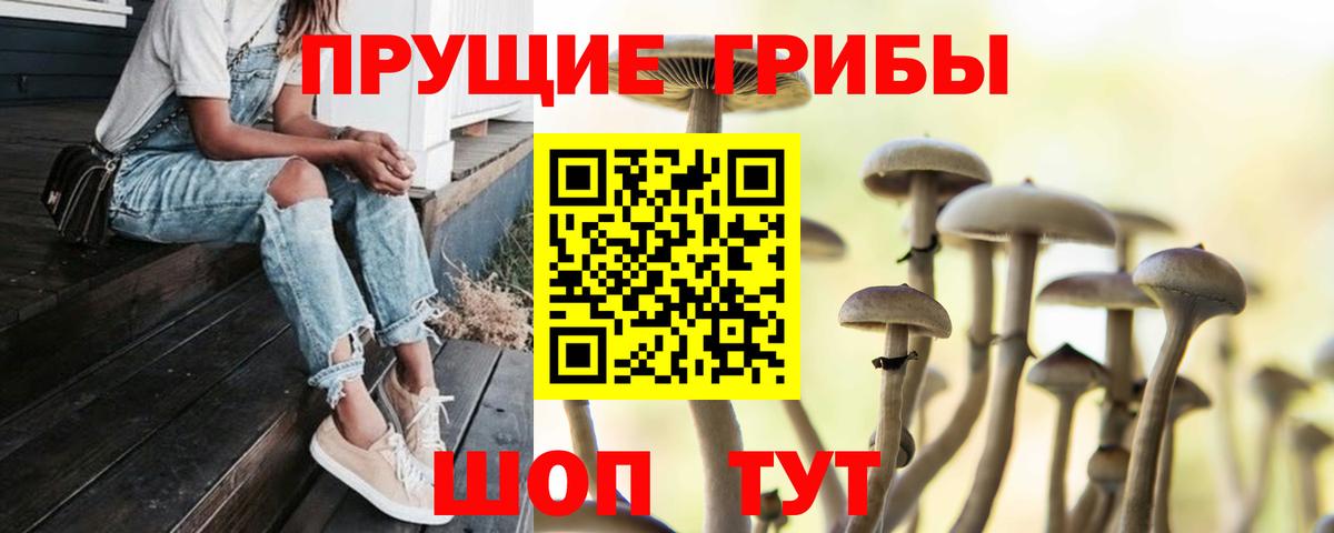 Галлюциногенные грибы Magic Shrooms Пенза